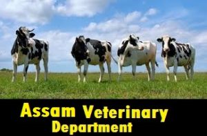 Assam Veterinary Department Recruitment 2020 - 221 Veterinary Field Assistant (VFA) Vacancy