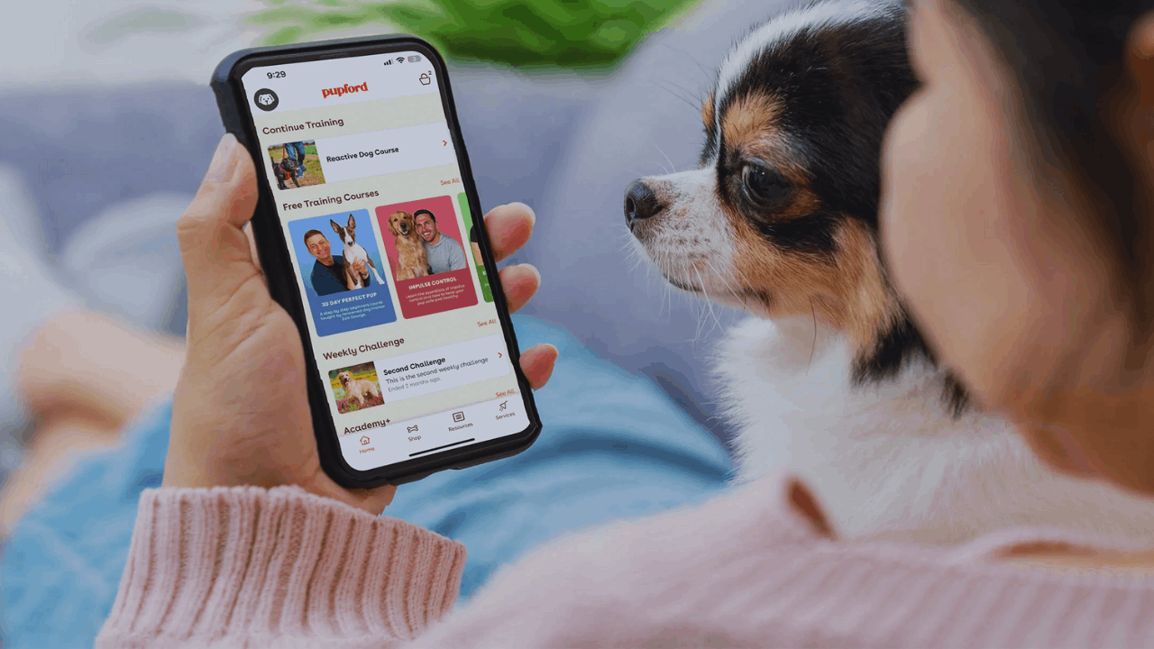 Las 10 mejores aplicaciones para cuidar a tu mascota