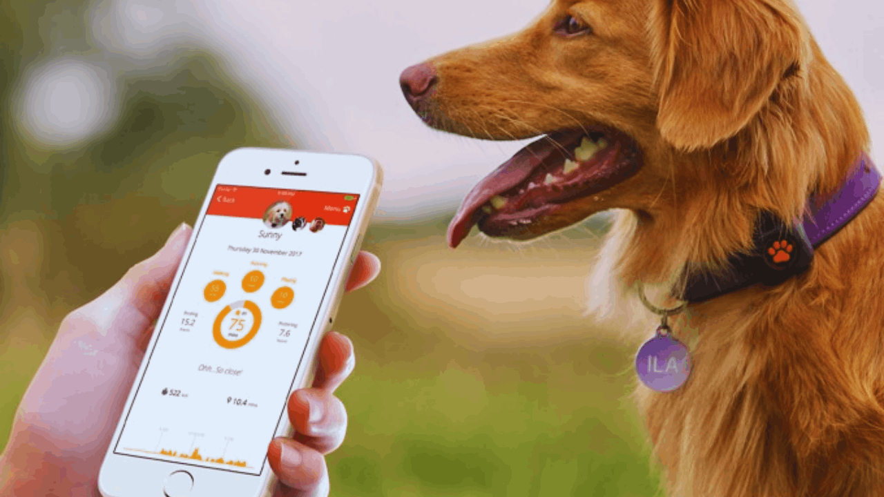 Las 10 mejores aplicaciones para cuidar a tu mascota